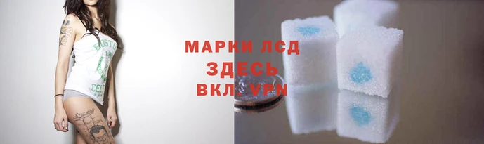 прущие крисы Пролетарск