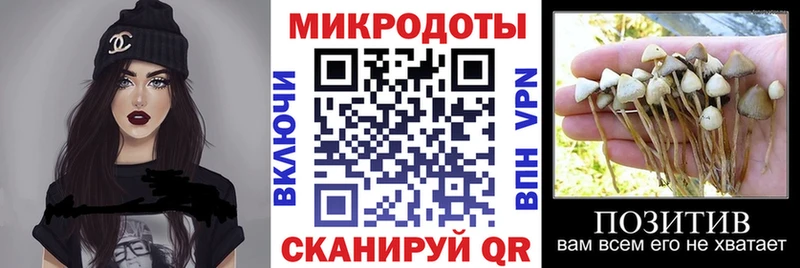 KRAKEN онион купить наркотики сайты Дальнереченск Псилоцибиновые грибы Cubensis