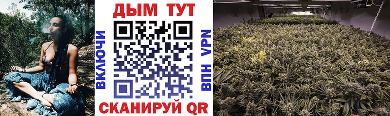 Каннабис SATIVA & INDICA  Дальнереченск 
